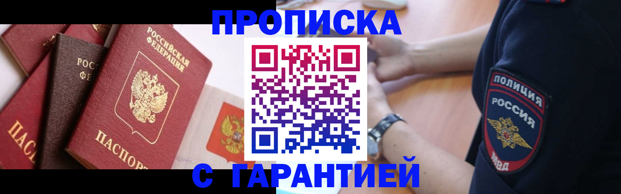 прописка законно в Камышлове